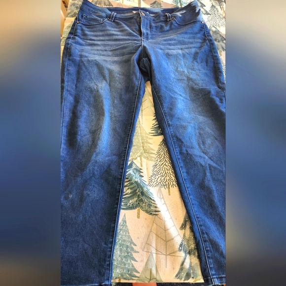 Workshop Republic Clothing Denim - Workshop Republic Clothing Skinny Ankle Jeans Plus size 18 tapered crop denim